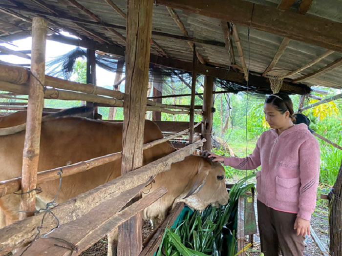 Hoi vien phu nu khoi nghiep thanh cong tu mo hinh nuoi de o Cu Mot 2